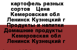 картофель разных сортов › Цена ­ 20 - Кемеровская обл., Ленинск-Кузнецкий г. Продукты и напитки » Домашние продукты   . Кемеровская обл.,Ленинск-Кузнецкий г.